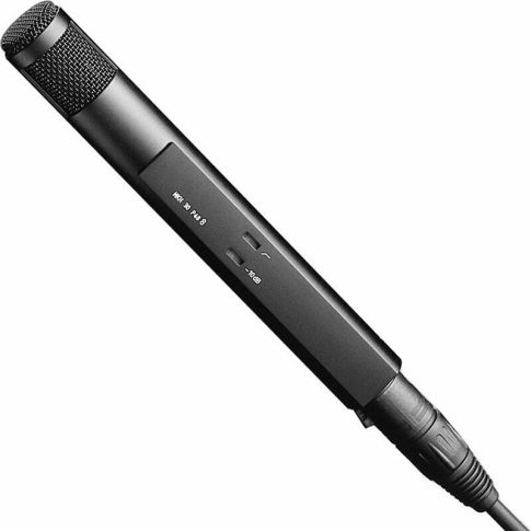 Sennheiser MKH 30-P48